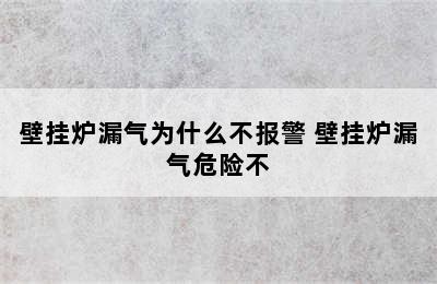 壁挂炉漏气为什么不报警 壁挂炉漏气危险不